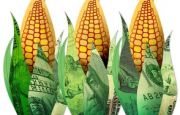 Associated Press study says ethanol is bad for the environment