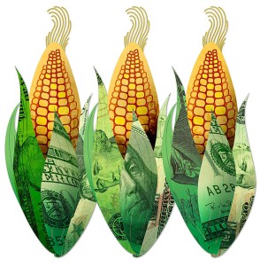 corn and money